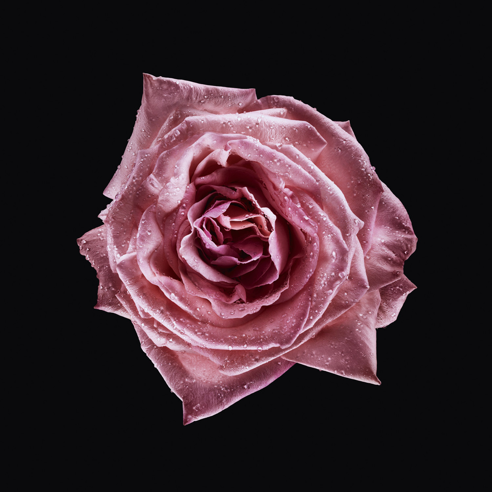 Armani Privé Armani/Privé Rose Milano Eau de Toilette
