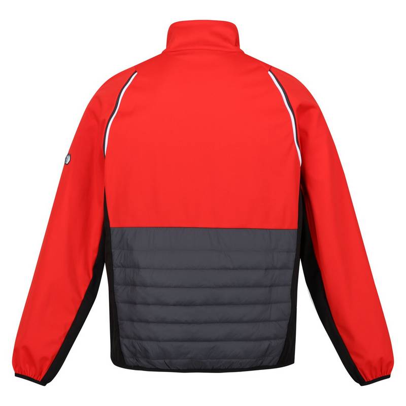 Regatta Steren Funktionsjacke Herren