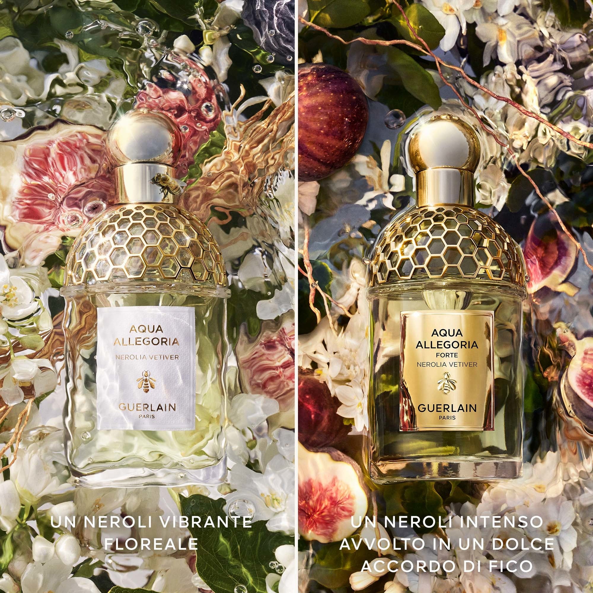 Aqua Allegoria Nerolia Vetiver Forte - Eau de Parfum