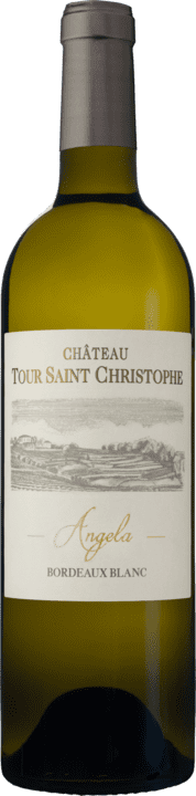 Chateau Tour Saint Christophe Angela 2022