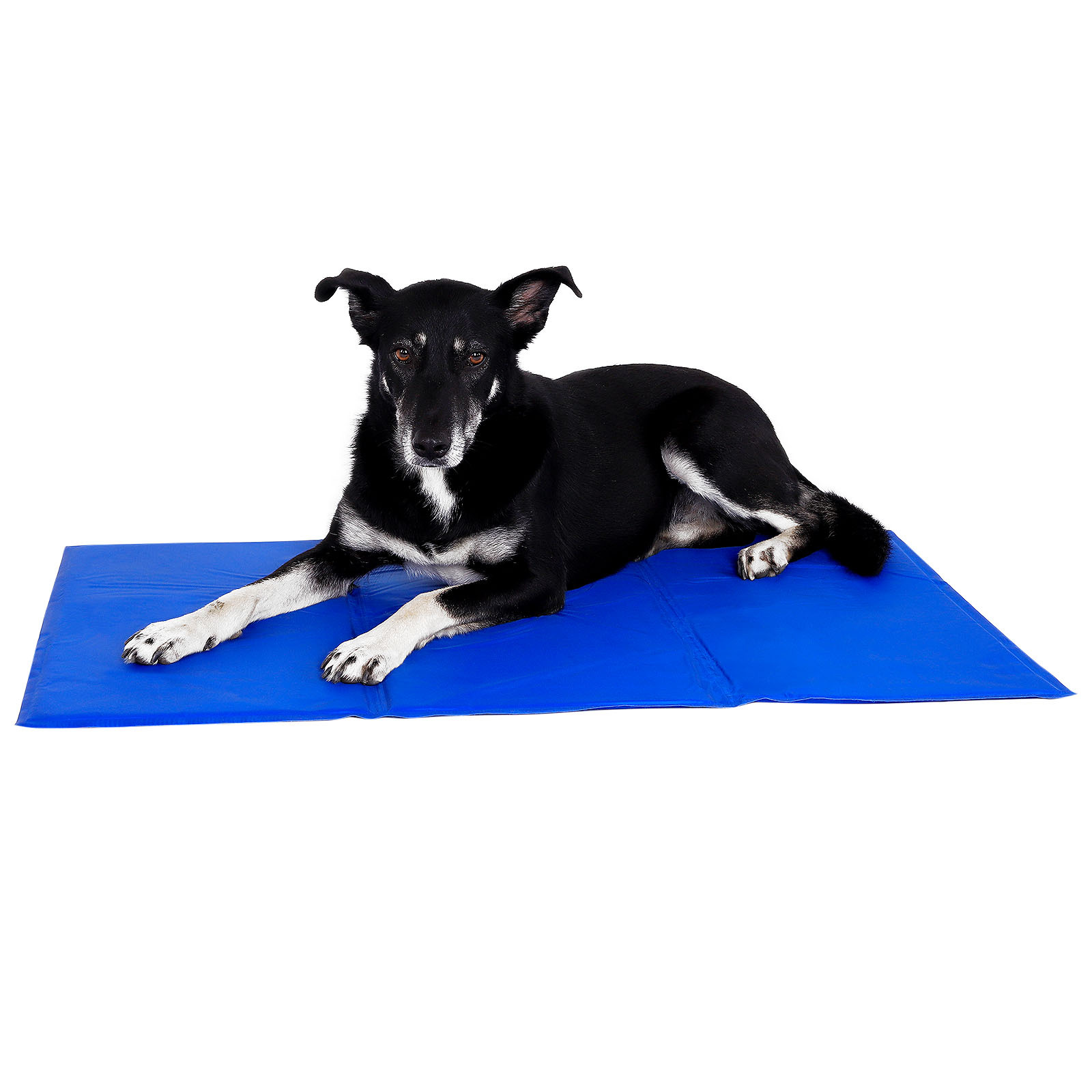 Lionto Hundematten Lionto Selbstkühlende Liegematte für Haustiere L