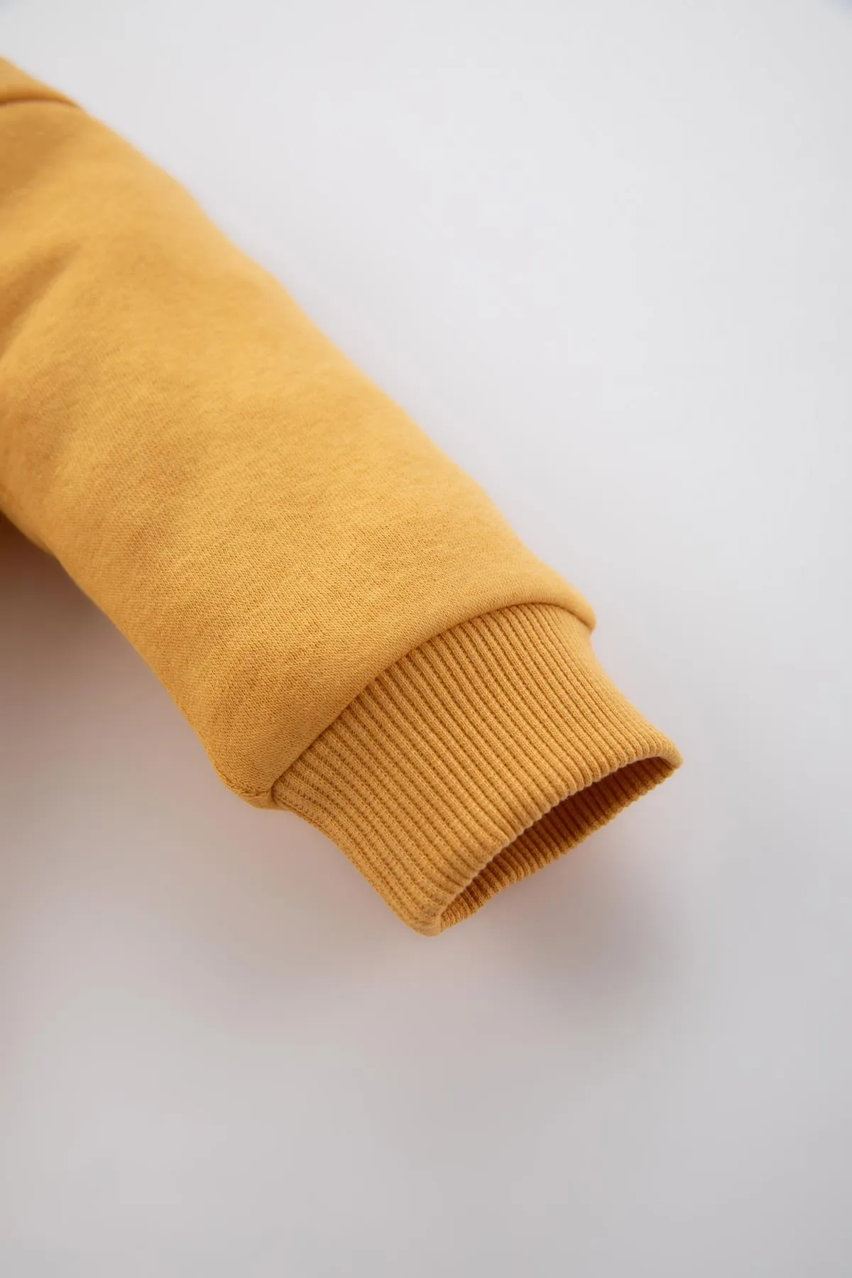DeFacto  Weich gefüttertes Sweatshirt mit normaler Passform für Babys (Jungen).