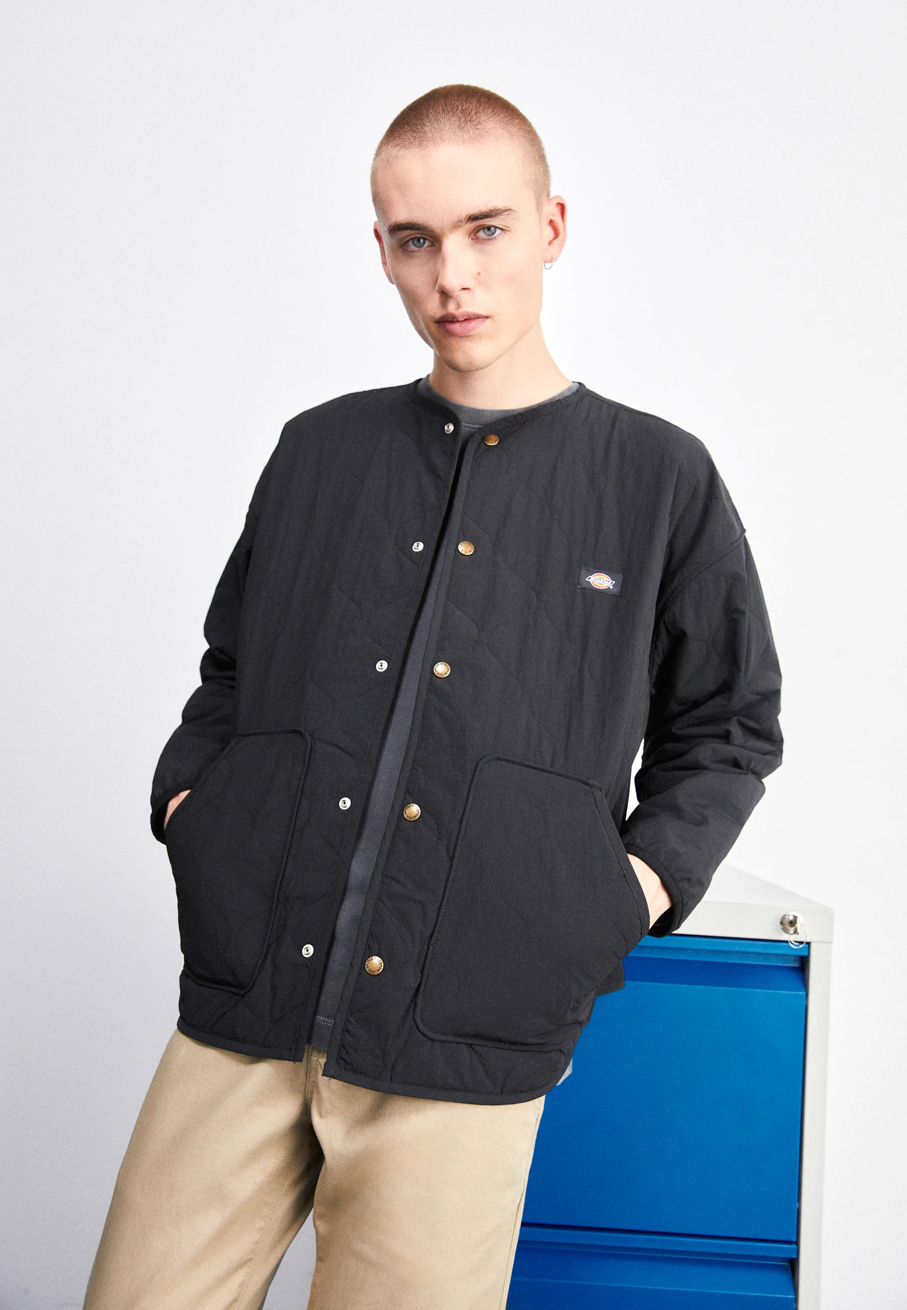 Dickies THORSBY LINER JACKET UNISEX - Chaqueta de entretiempo
