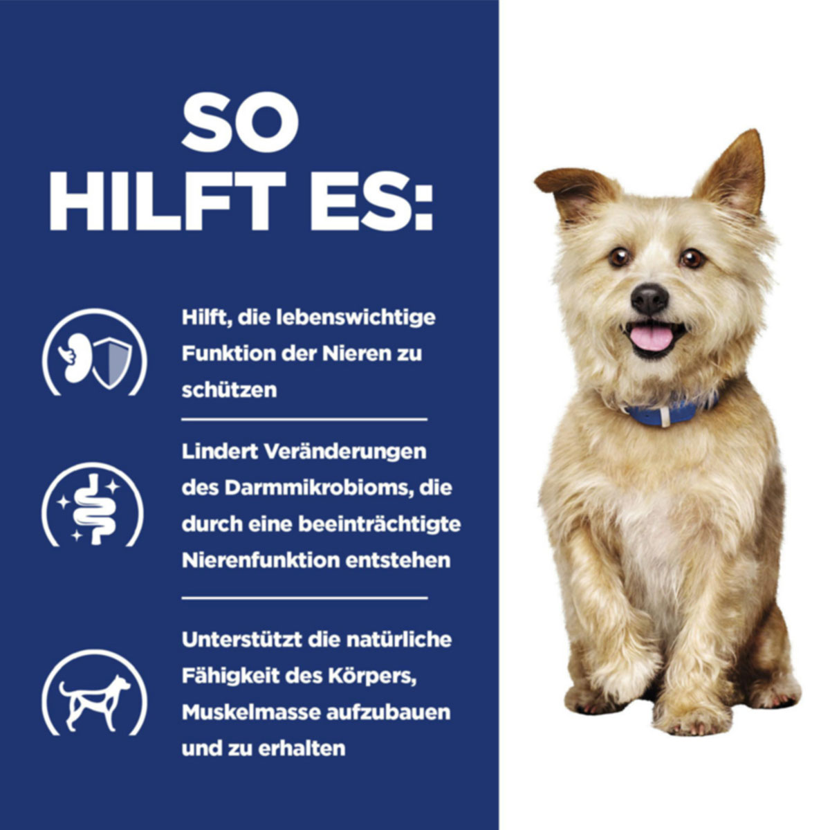 Hill's Prescription Diet k/d Original 12kg kaufen