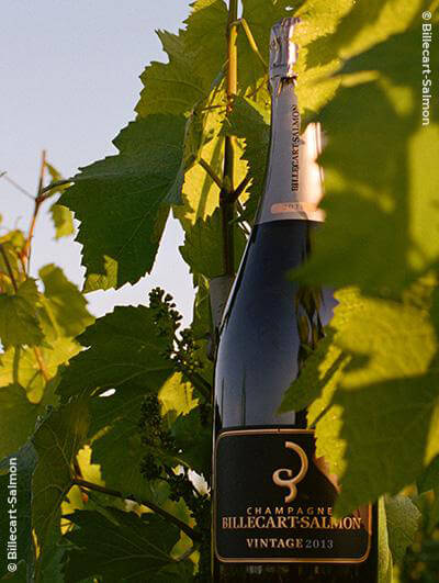 Billecart-Salmon : Vintage 2013