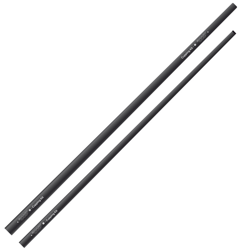 Κιτ καλαμιών 2 τεμαχίων Essential Smart Carp