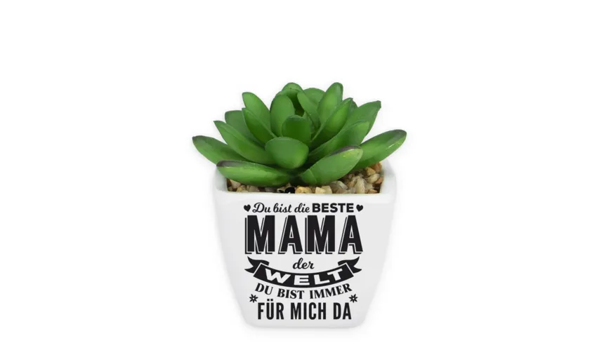 H&H Sukkulenten - Beste Mama