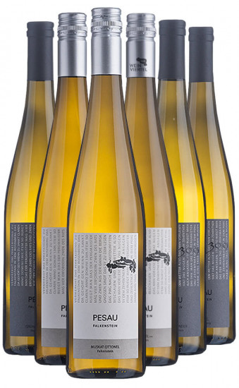 Weingut Pesau Kennenlern-Paket - Weingut Pesau