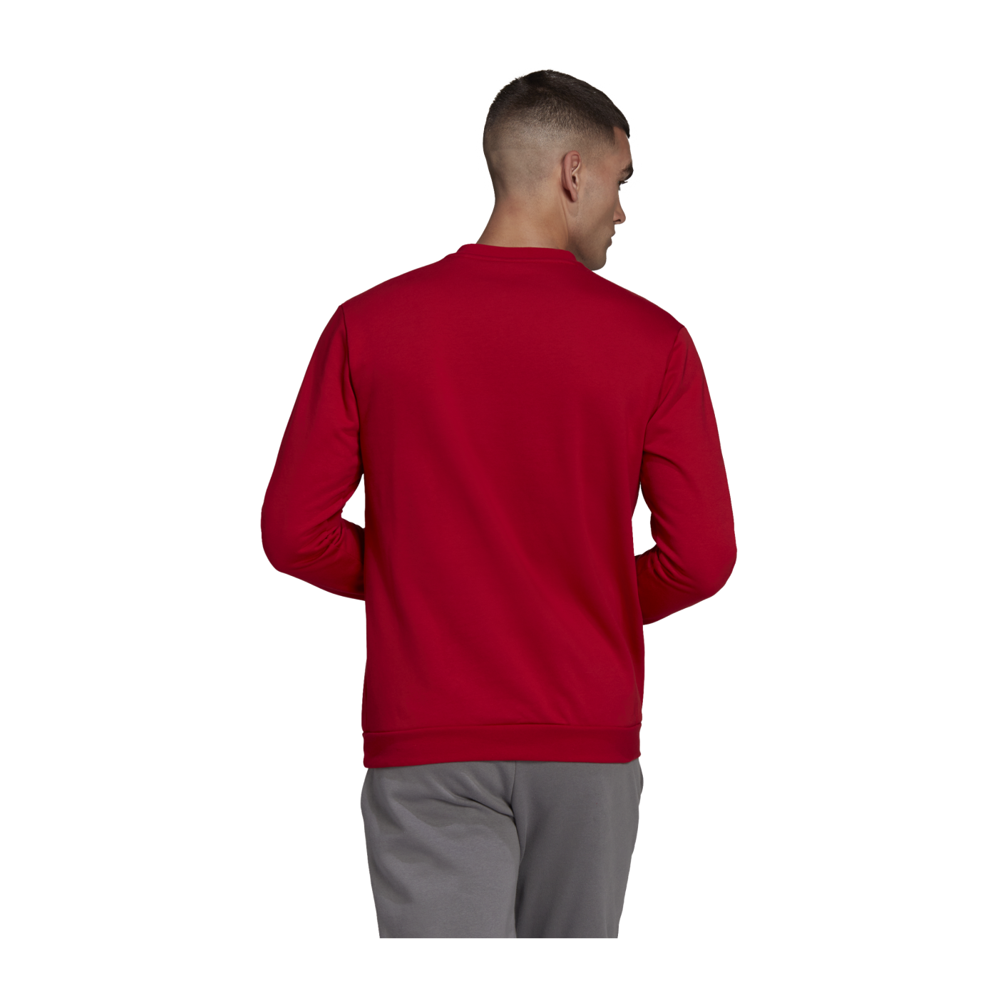 adidas Entrada 22 Sweatshirt Rot