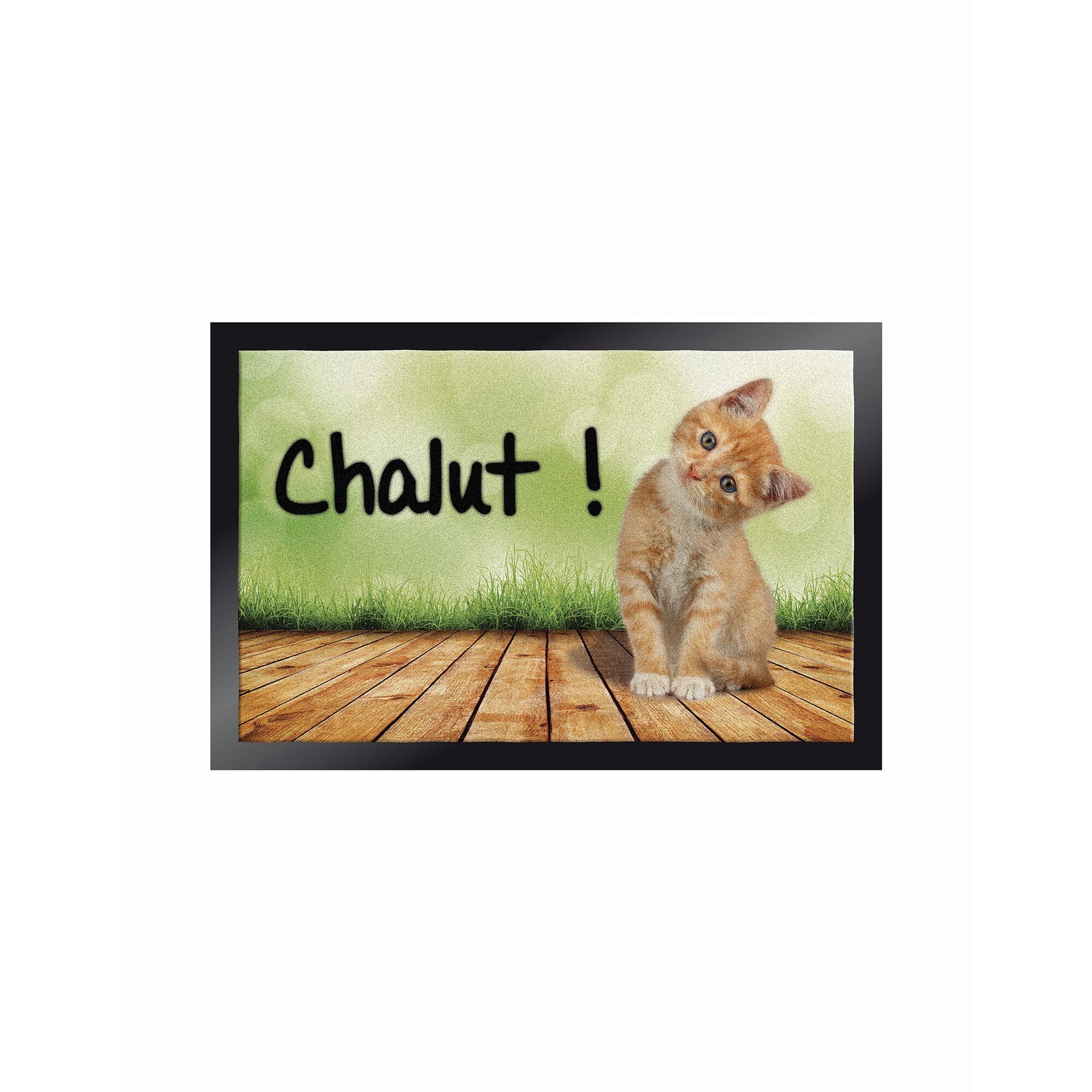 Tapis anti-poussière motif chatons