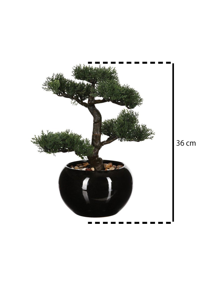 Atmosphera Créateur d'intérieur Künstlicher Bonsai-Baum in schwarz günstig kaufen onesize