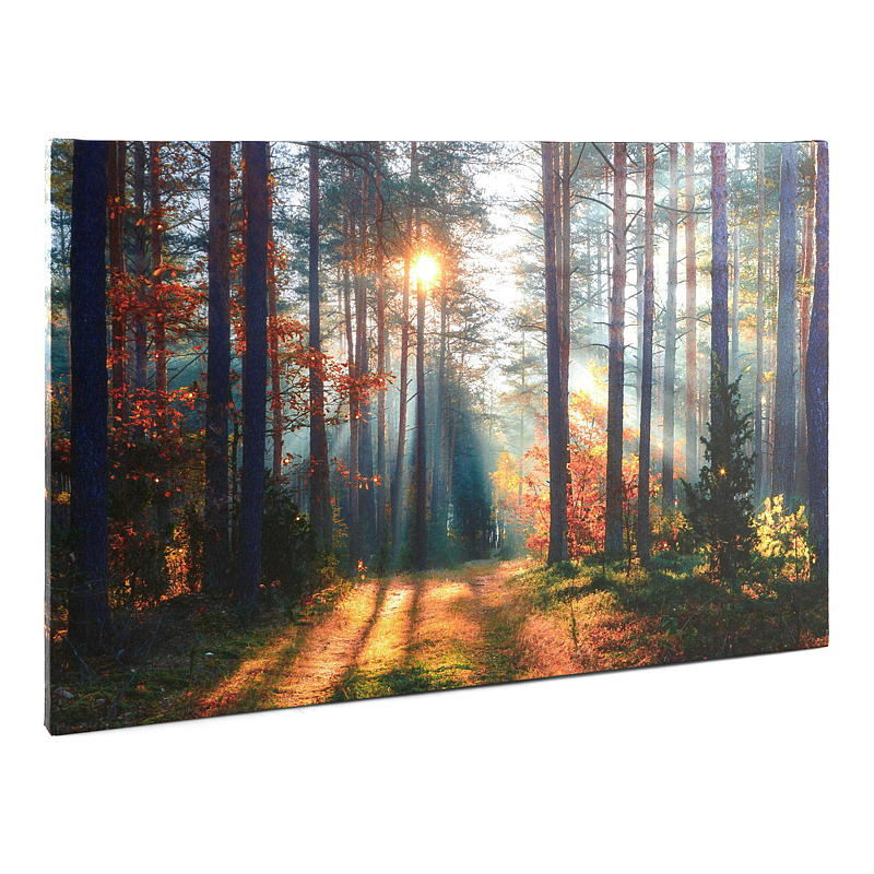 Home Canvasbilde 38x58 cm LED/fiberoptik Autumn