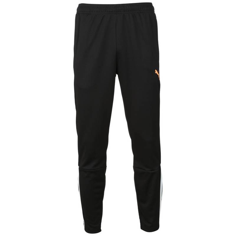 PUMA TeamLIGA Trainingshose Herren