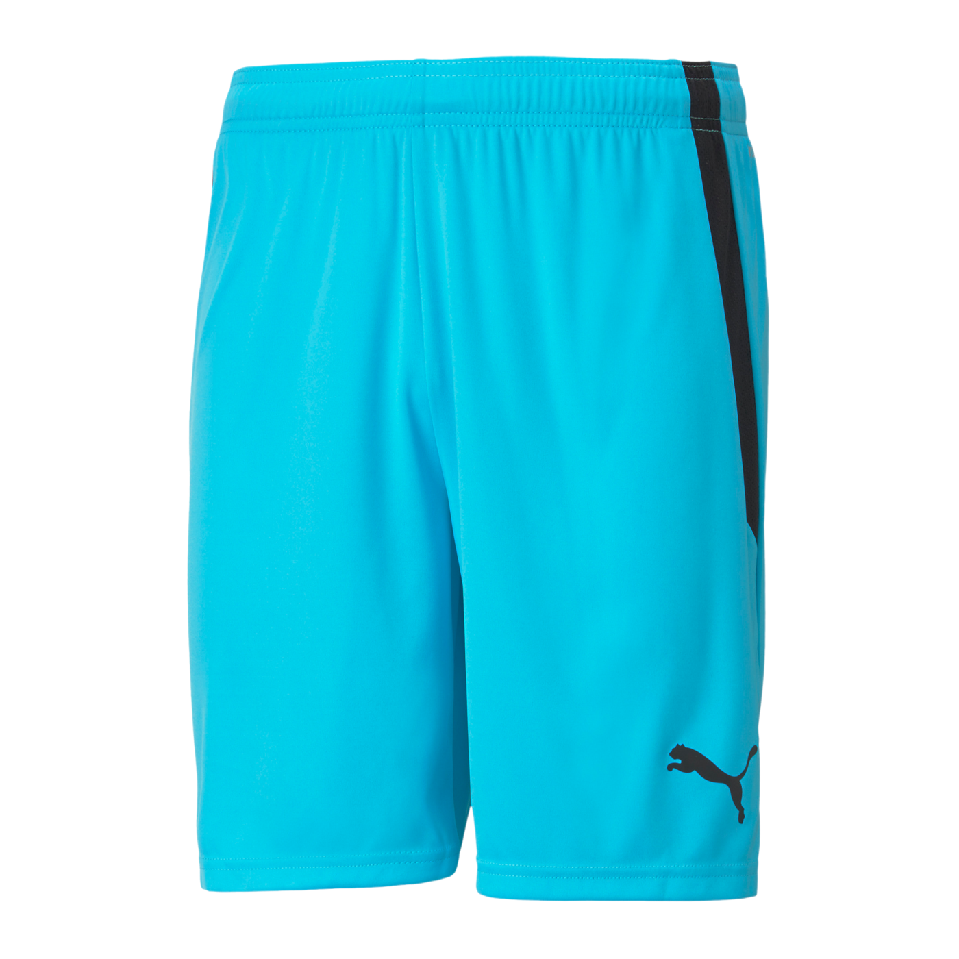 PUMA teamLIGA Short Kids Blau Schwarz F40