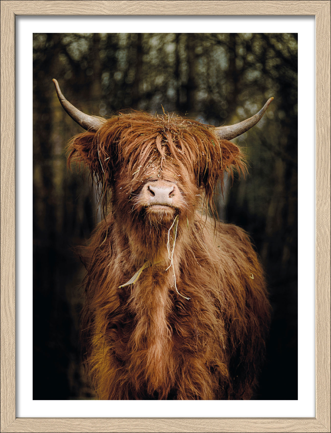 Pro ArtKunstdruck gerahmt 32,5x42,5cm