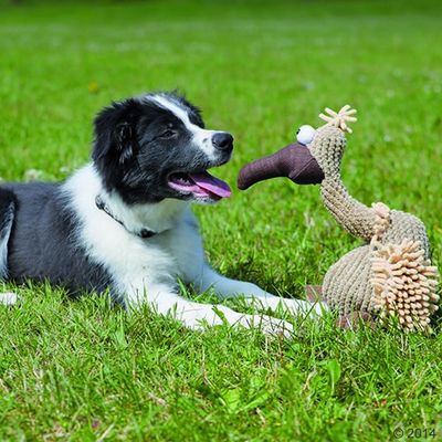 Trixie Hundespielzeug Geier Gustav