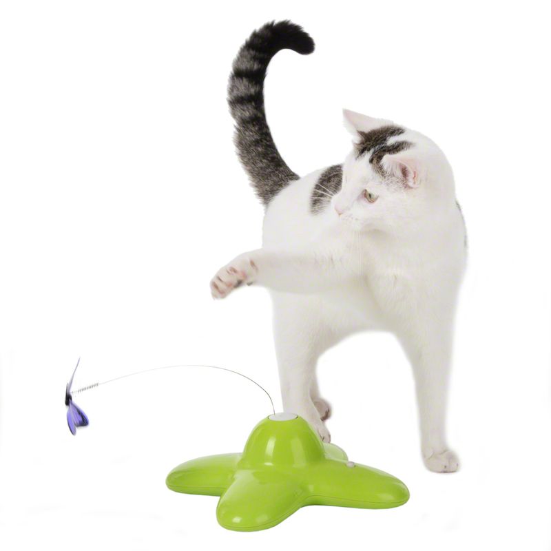 Katzenspielzeug Funny Butterfly zu TOP-Preisen