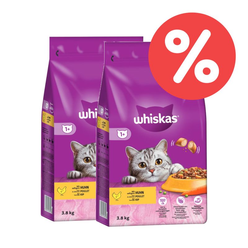 Sparpaket Whiskas Trockenfutter zu TOP-Preisen