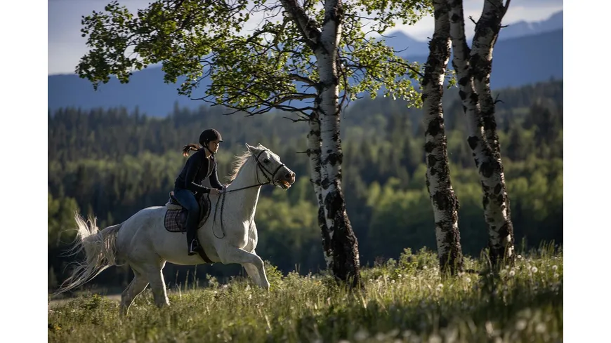 Heartland - Paradies für Pferde - Staffel 13 (Neuauflage)  [4 DVDs]