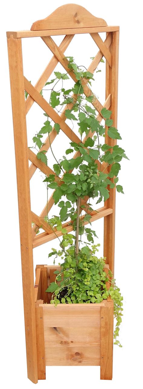 PROMEX Promadino Eckelement Botanica 140 cm