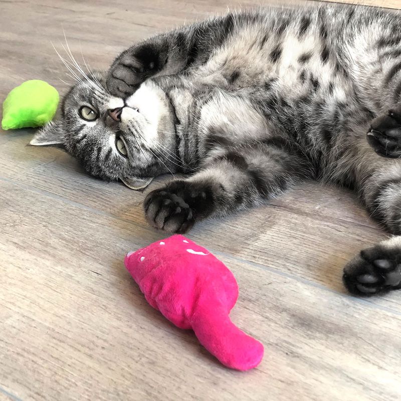 Aumüller Katzenspielkissen Plüschkatzen zu TOP-Preisen