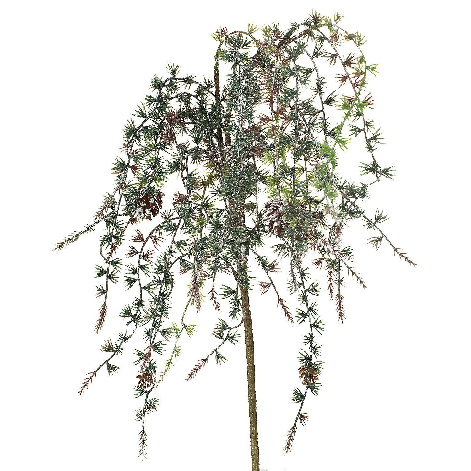 Frostlärchenzapfen-Zweig, 75 cm