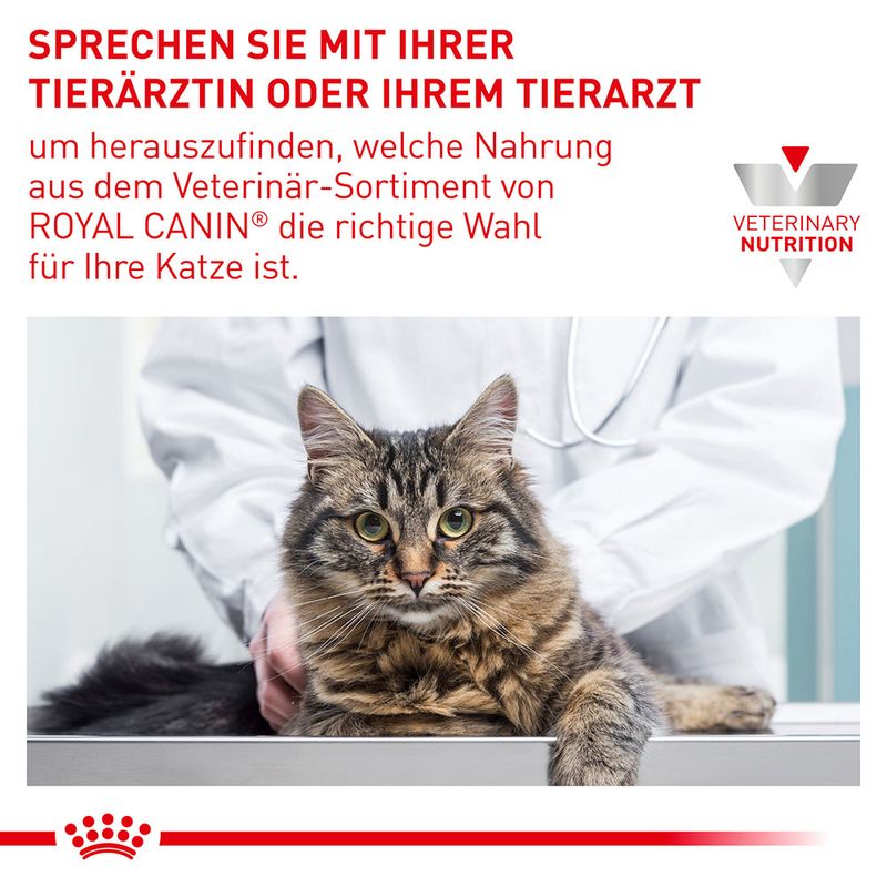 Royal Canin Expert Feline Dental zu TOP-Preisen