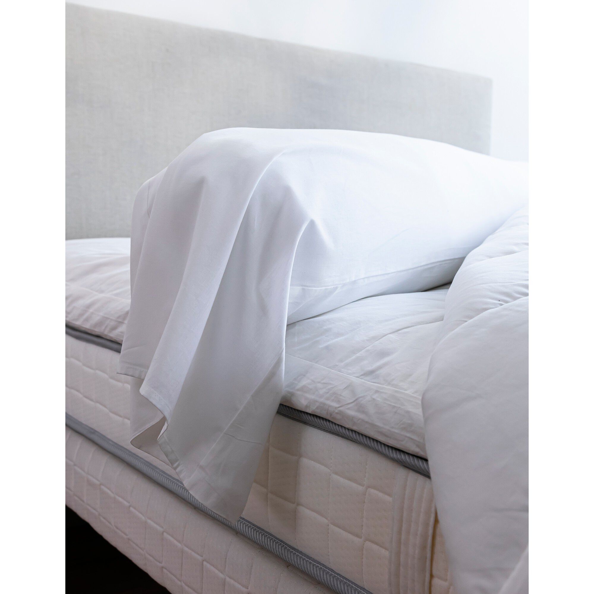 Sous-taie de traversin coton