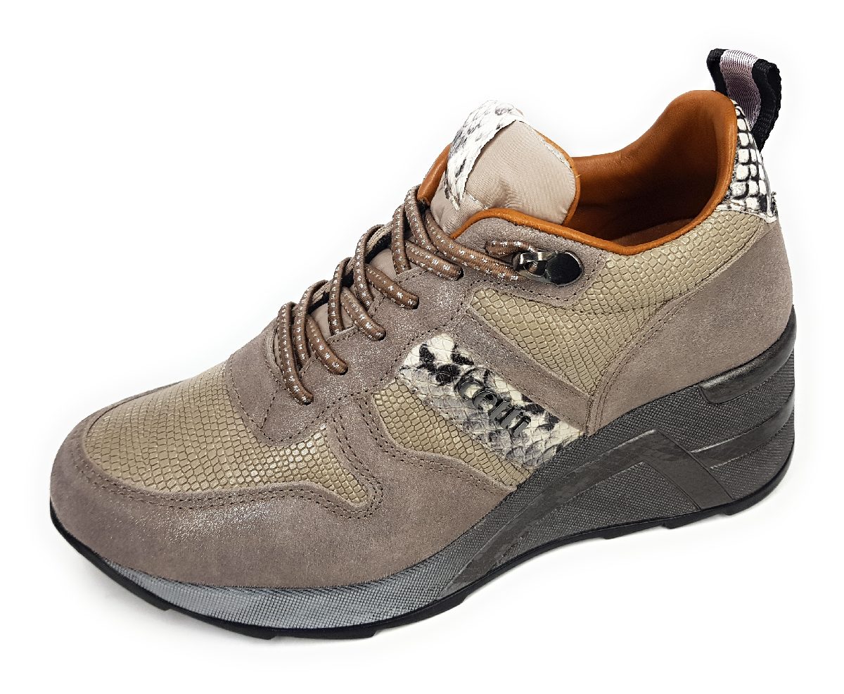 Cetti C-1278SRA Grau old rose