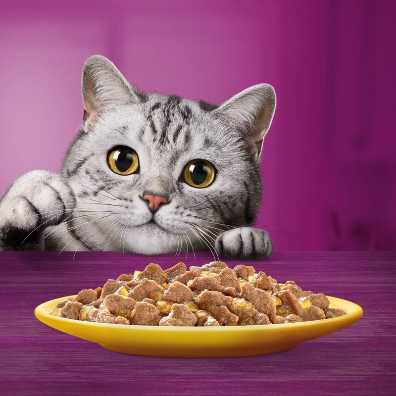 Jumbopack Whiskas 1+ Adult Frischebeutel 96 x 85 g