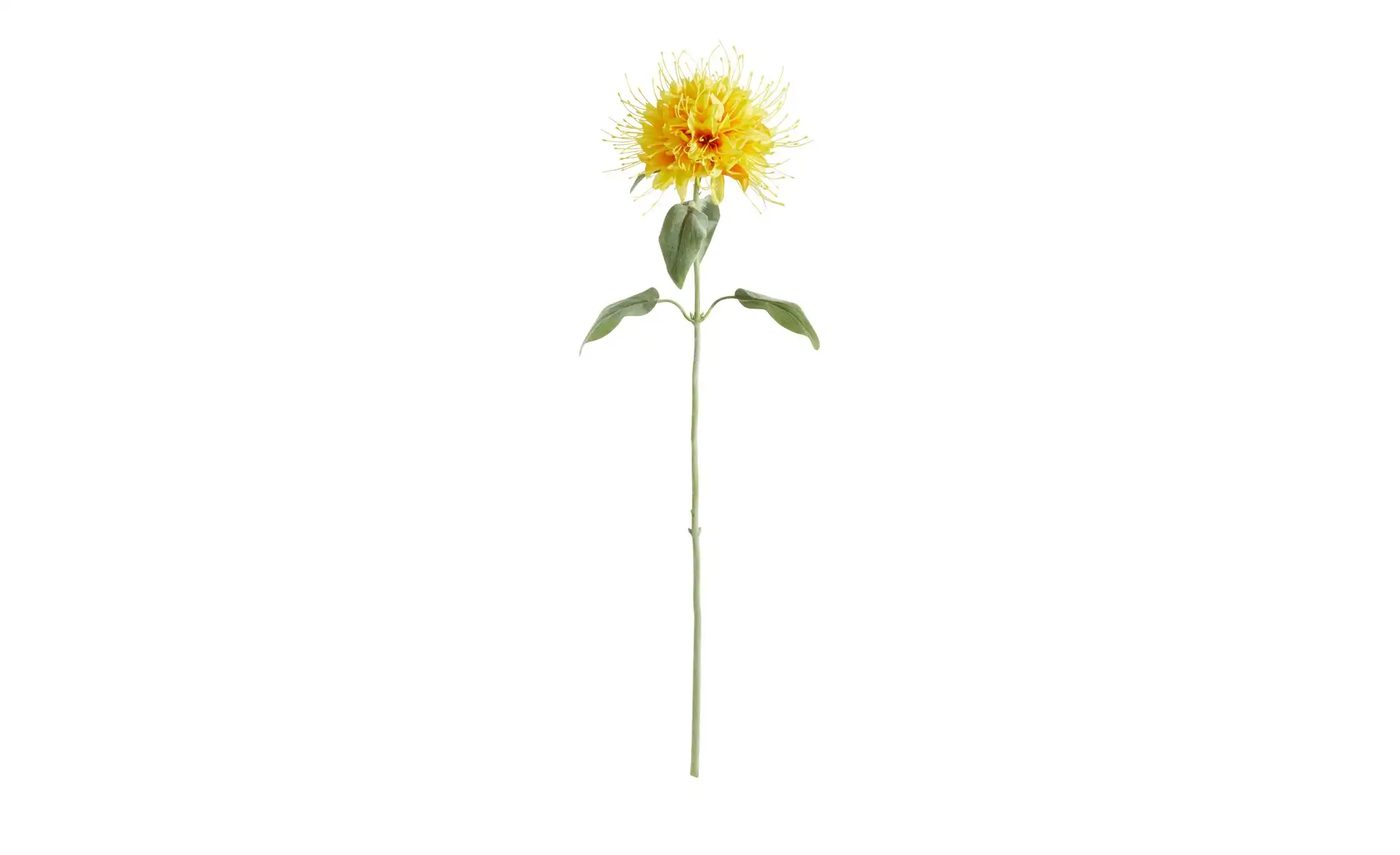 HOME STORY Kunstblume Monarda