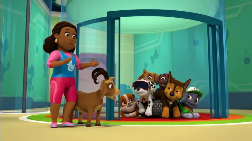 Paw Patrol: Die Fellfreunde lösen ein Rätsel