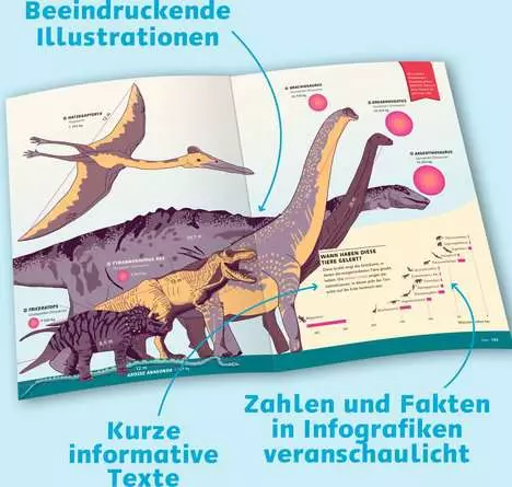 Das große Buch der Infografiken