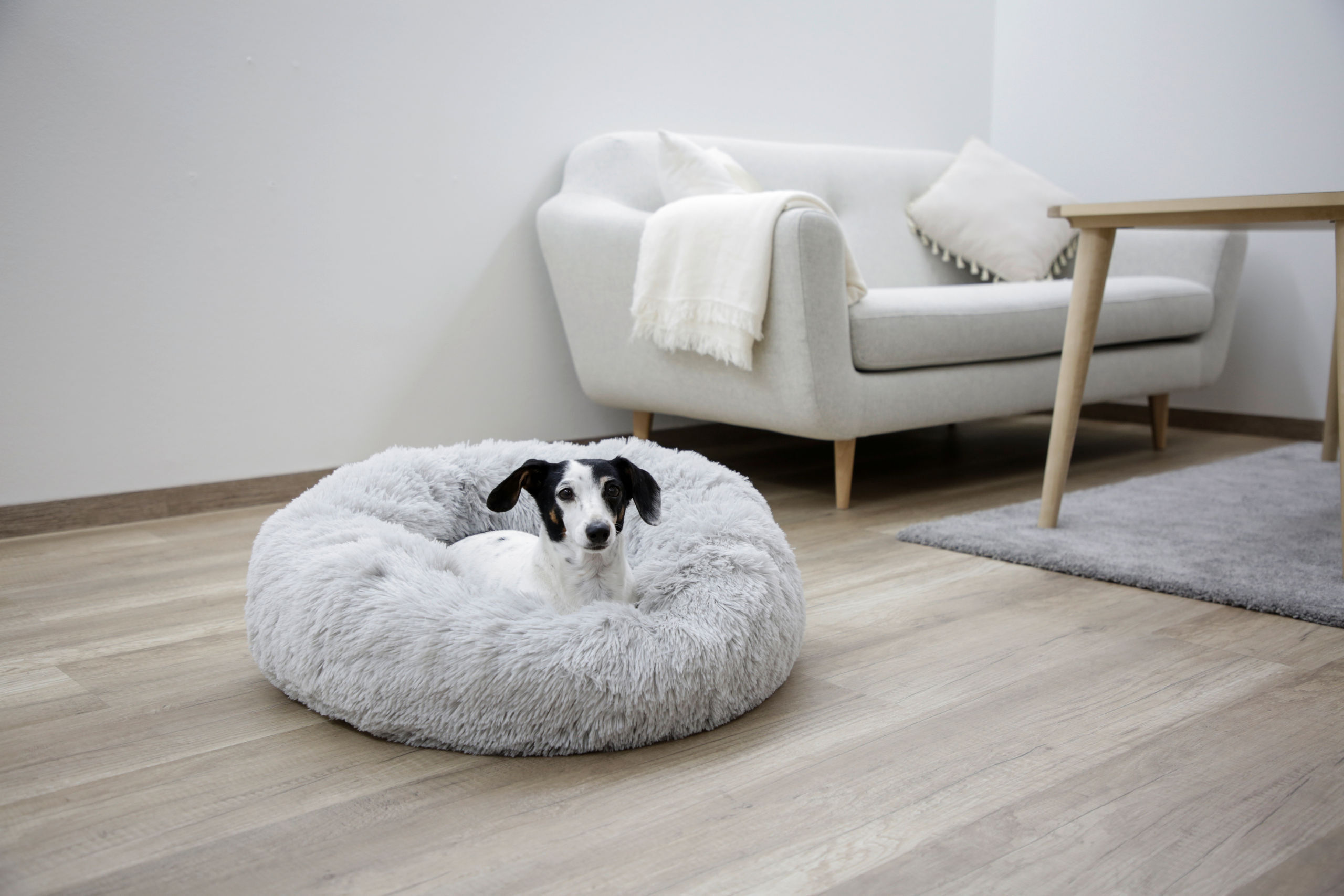 Kerbl Hundebetten Kerbl Pet Kuschelbett Fluffy, Hellgrau, Rund, Ø76cmx19cm