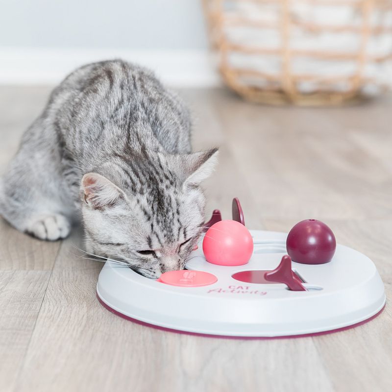 Trixie Cat Activity Flip Board zu TOP-Preisen