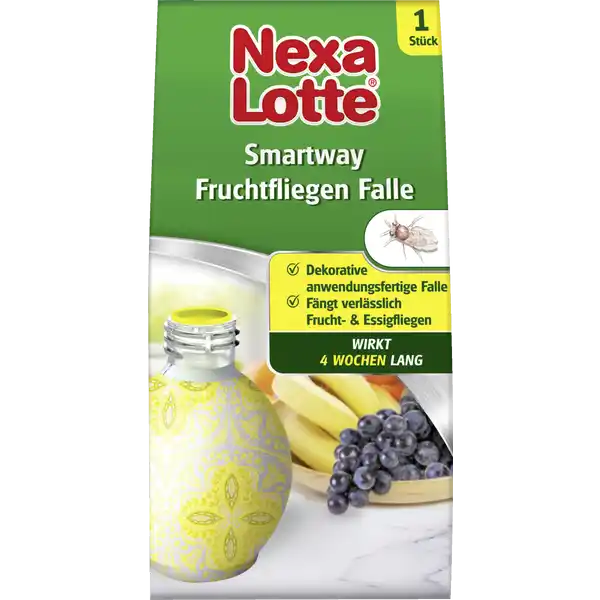 Fruchtfliegen Falle