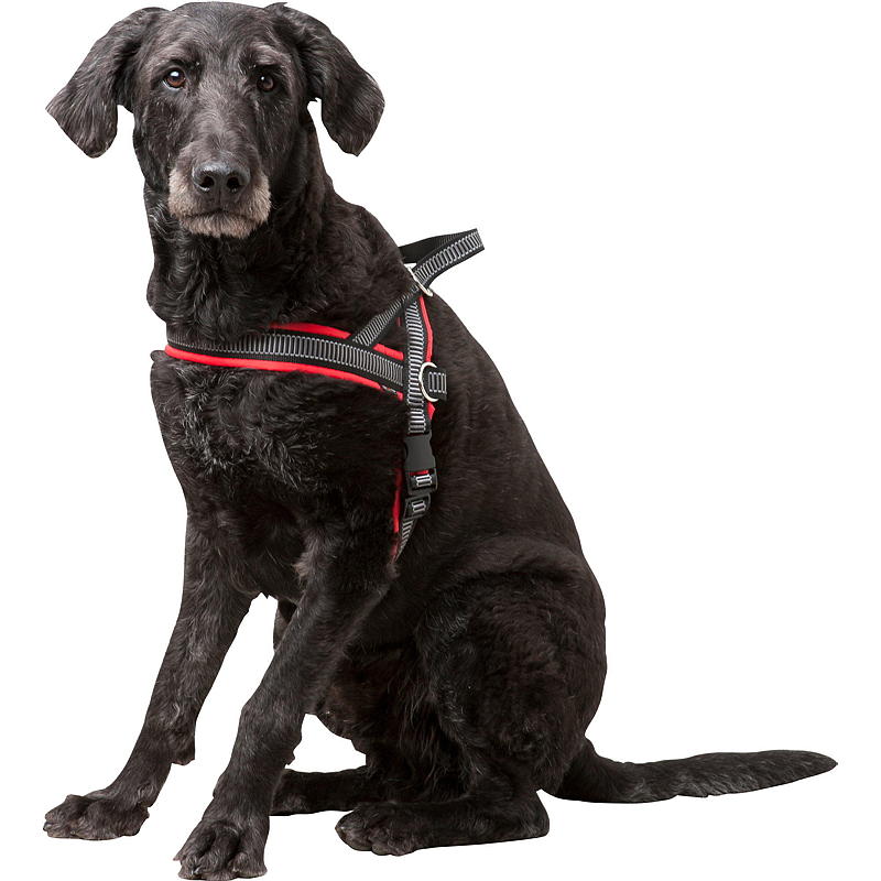 Zoozaker Hundesele T form 50 cm m/polstring og refleks