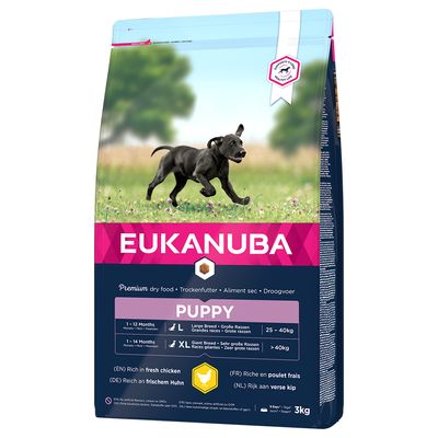 Eukanuba Puppy Large Breed Huhn