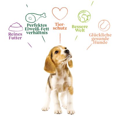 Yarrah Bio Puppy