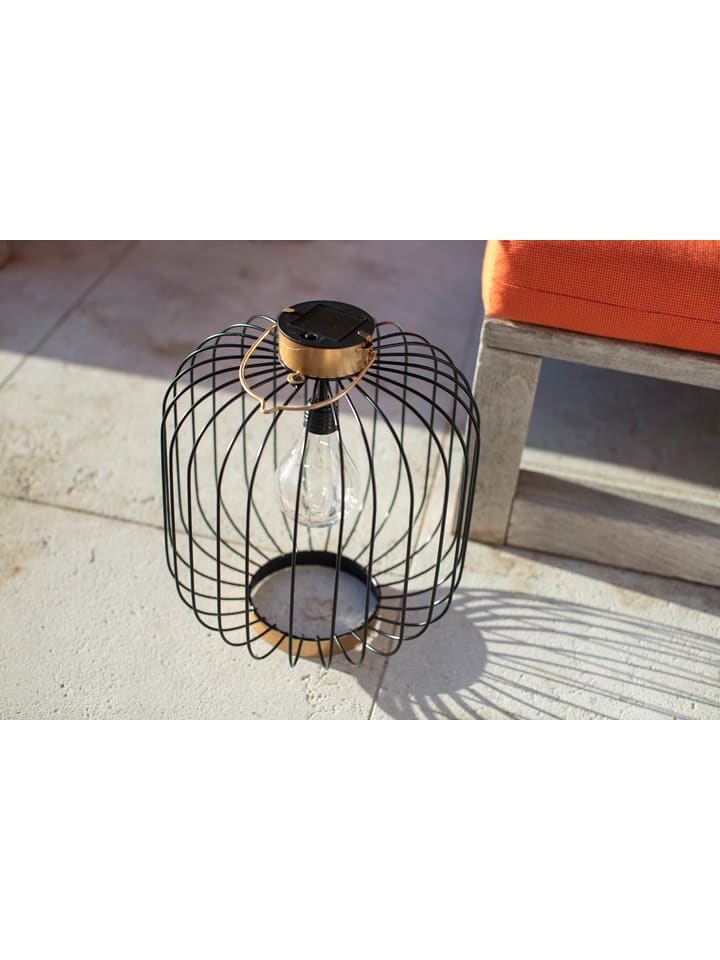 lumisky LED-Solarleuchte 