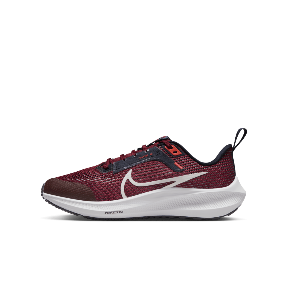 Nike Air Zoom Pegasus 40 DX2498-009 / grau