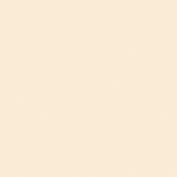 Farbenfreunde No. 1 Kängurubeige, 2,5l