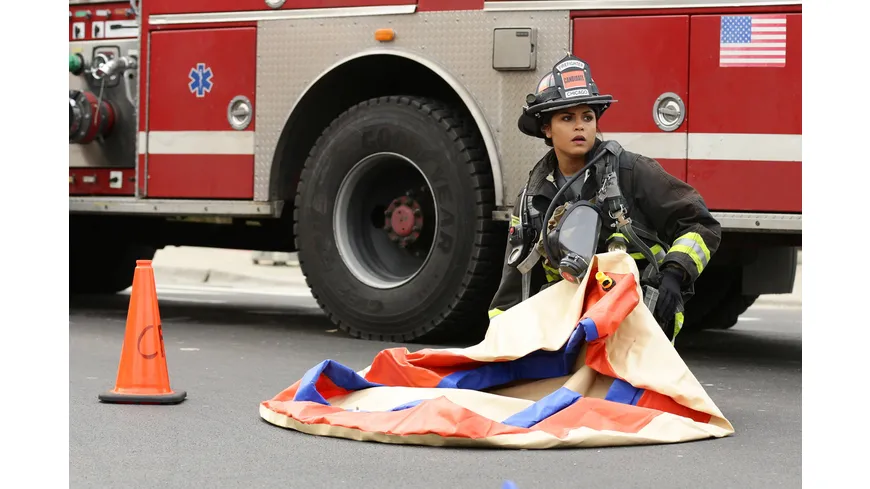 Chicago Fire - Staffel 3  [6 DVDs]