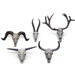 Animal Skulls & Skeletons 1/24
