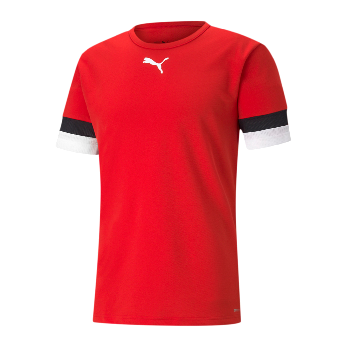 PUMA teamRISE Trikot Rot F01
