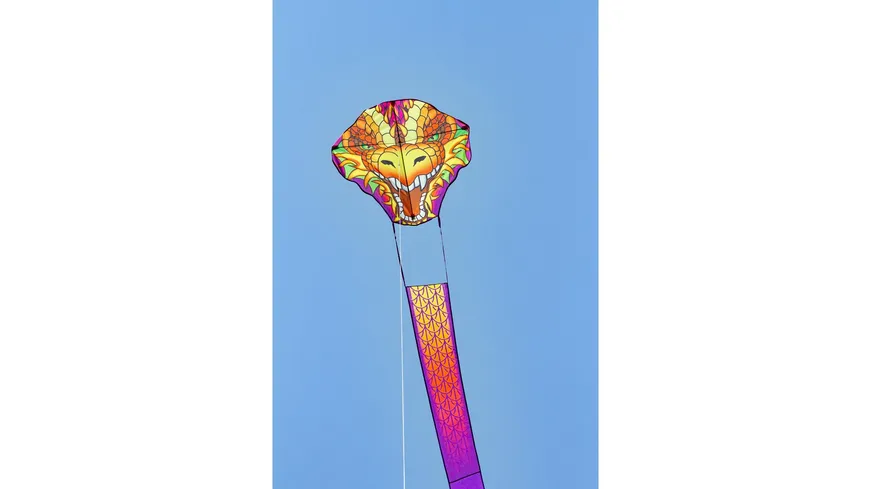 Dragonhead Kite - Kinderdrachen