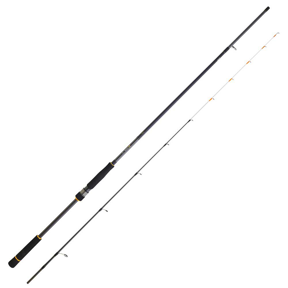 Tenya Daiwa BG Tenya Wildrute 2,40 m, 15–80 g