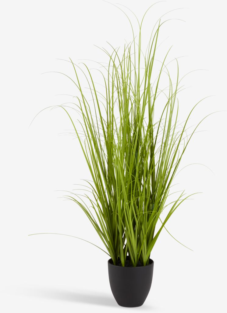 MARKUSFLUE Kunstig plante MARKUSFLUE H150cm gress