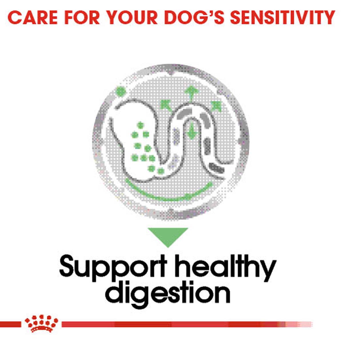ROYAL CANIN DIGESTIVE CARE Nassfutter für Hunde mit empfindlicher Verdauung 12x85g