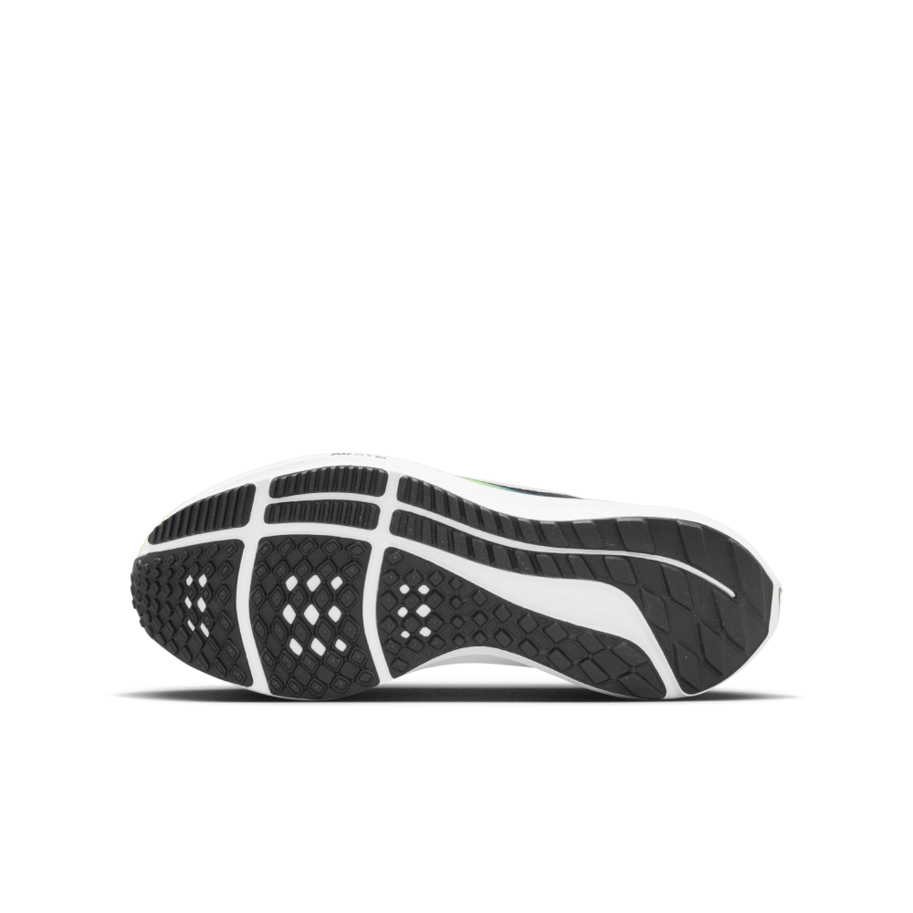 Nike Air Zoom Pegasus 40 DX2498-006 / grau
